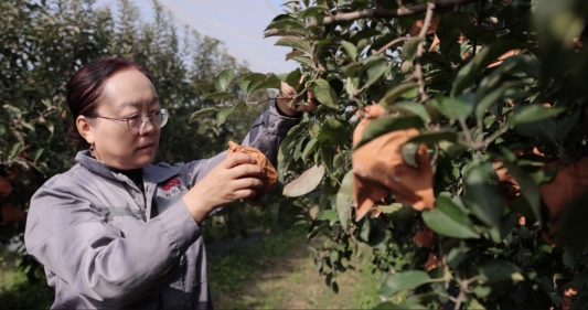 微信图片_20250224160244