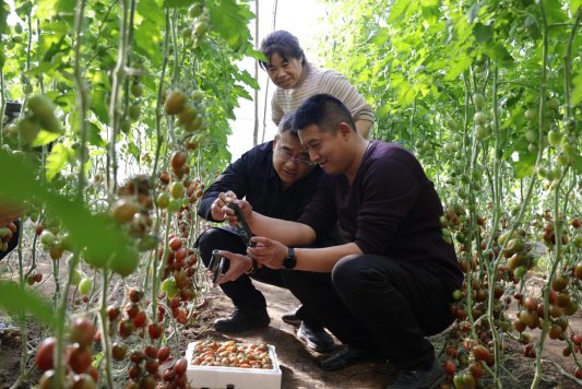 e58b5fef830d765f7015d54f3e74ea9d